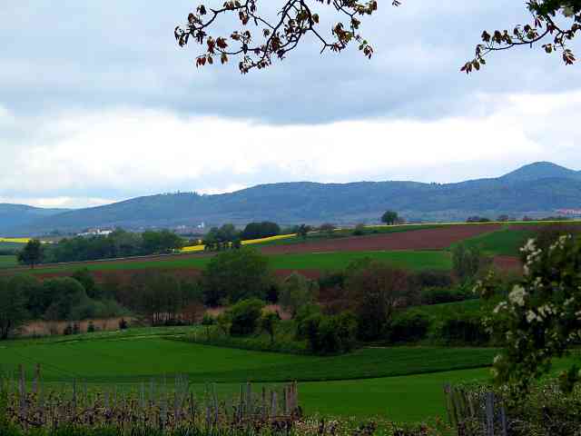 Niederotterbach Niederotterbach, ein Ort in der Südpfalz, geprägt